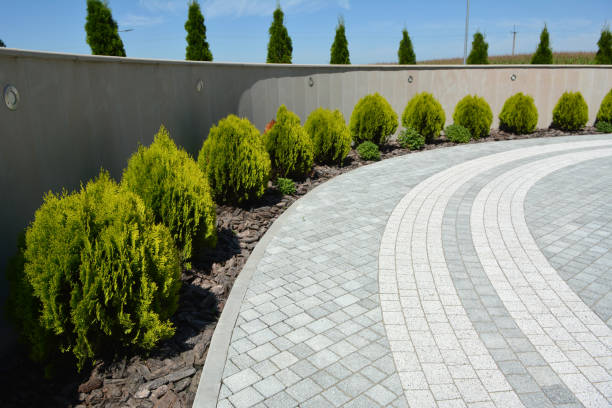 Best Brick Driveway Pavers  in Angleton, TX